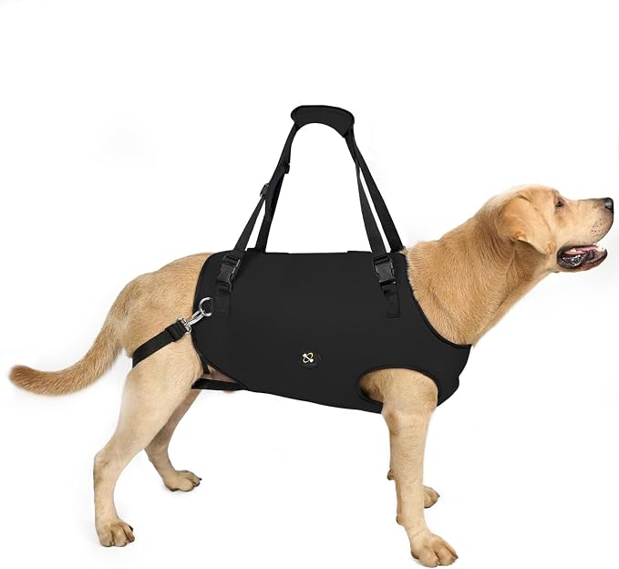 Coodeo Full-Body Mobility Support & Vehicle Lift Harness for Large Senior Dogs