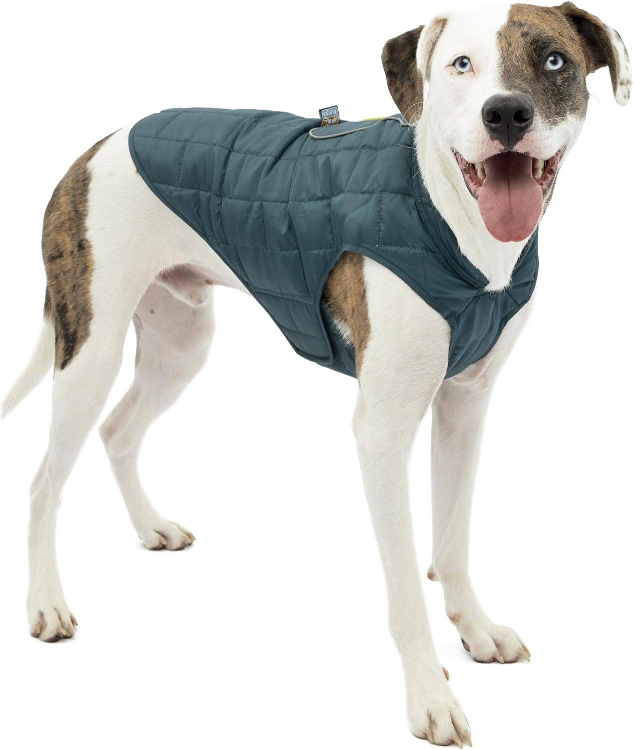 Kurgo Loft Reversible Athletic Dog Winter Jacket (Microtomic Ripstop)