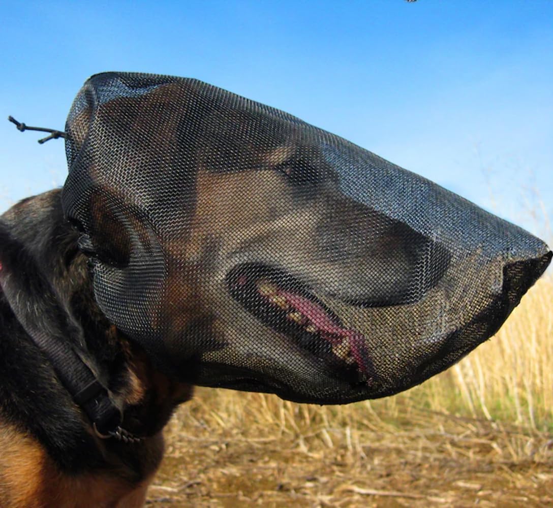 OutFox Field Guard Breathable Dog Safety Mask (Foxtail & Burr Defense)