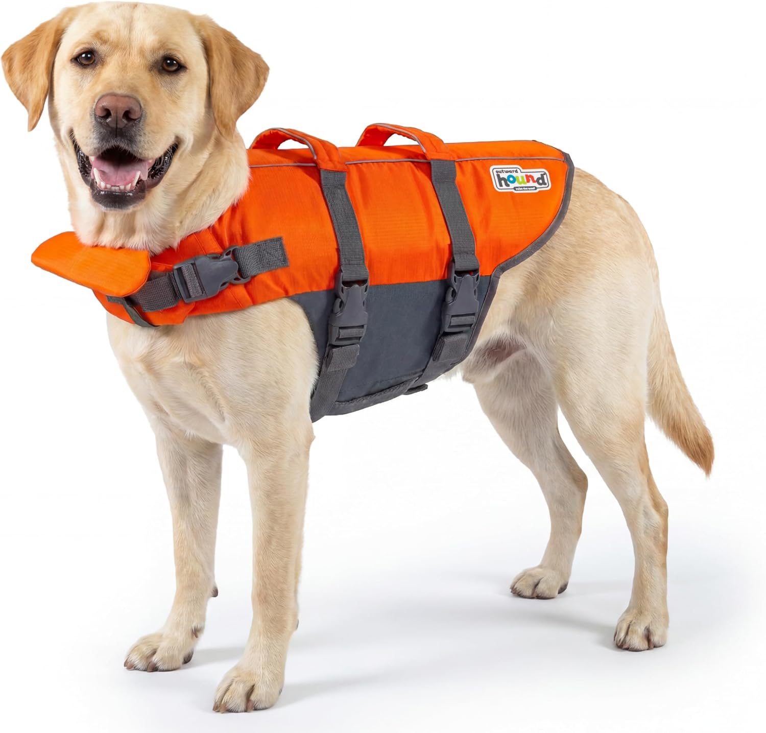Outward Hound Granby Splash Dog Life Jacket (Dual Rescue Handles)